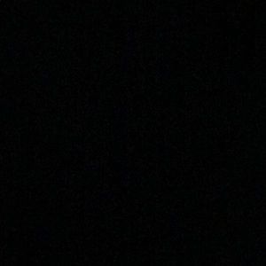 Meet your Posher, Nicki